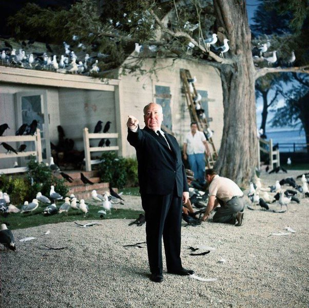 Alfred Hitchcock on the set of The Birds, 1963.